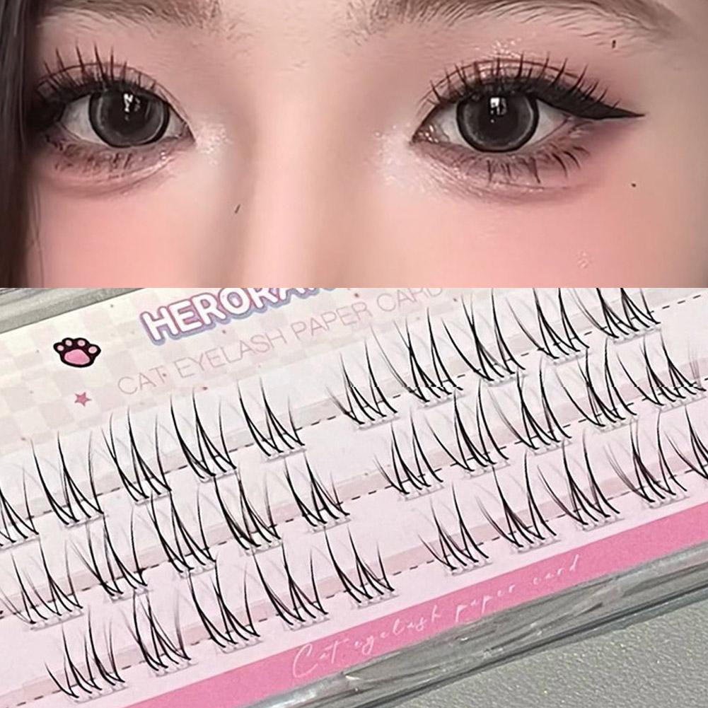 Fake Lashes Natural Long-Lasti - Your Beauty Makeup ulasan dan harga